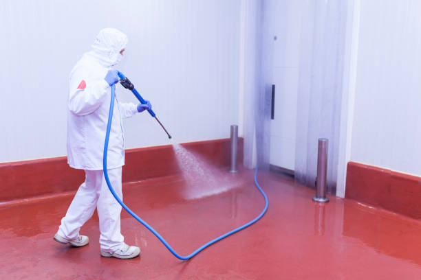 Best Spring Cleaning  in Pleasanton, CA